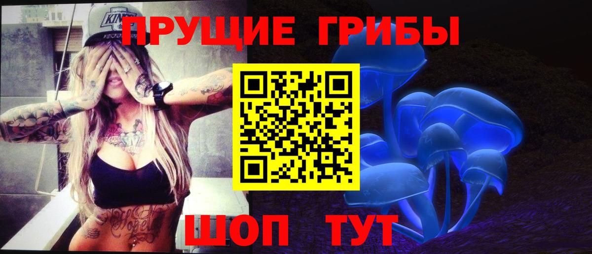 Псилоцибиновые грибы ЛСД  купить закладку  Кузнецк  Вход с VPN 